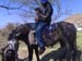 16. 1st Horse Ride